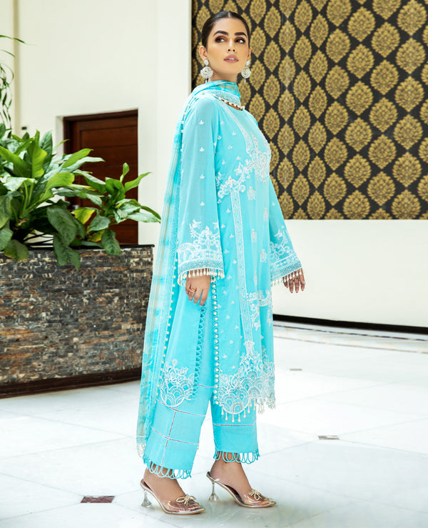 House of Nawab | Lawn Collection 24 | MIRAAL - Pakistani Clothes for women, in United Kingdom and United States