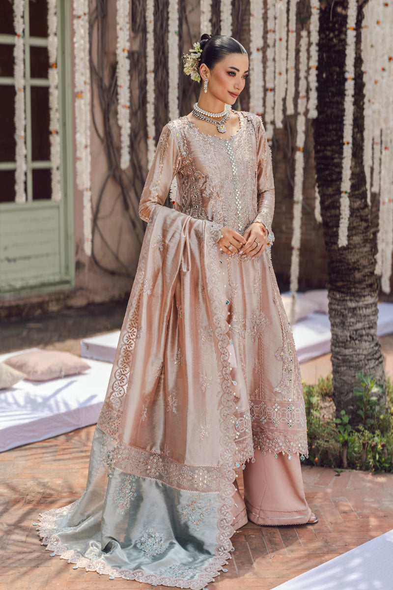 Rangrasiya | Wedding Formals 25 | Nayab