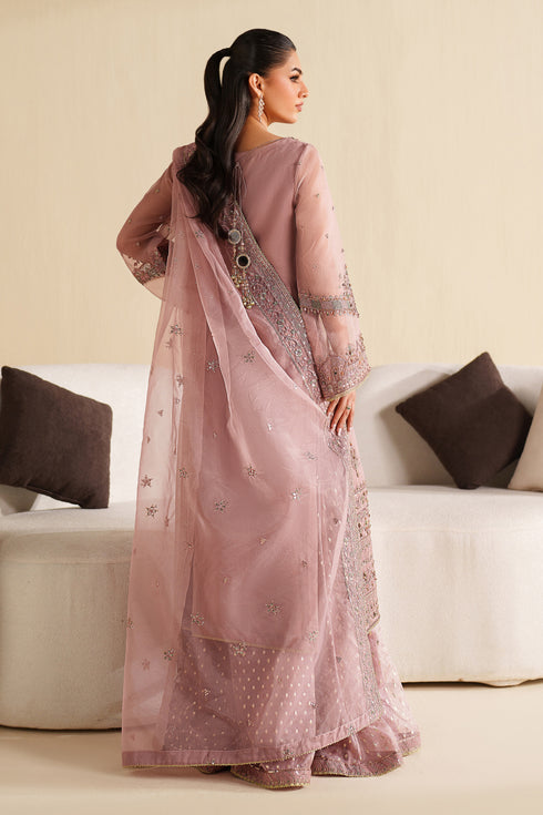 Naqshi | Feemora Organza Raw Silk | Ushna