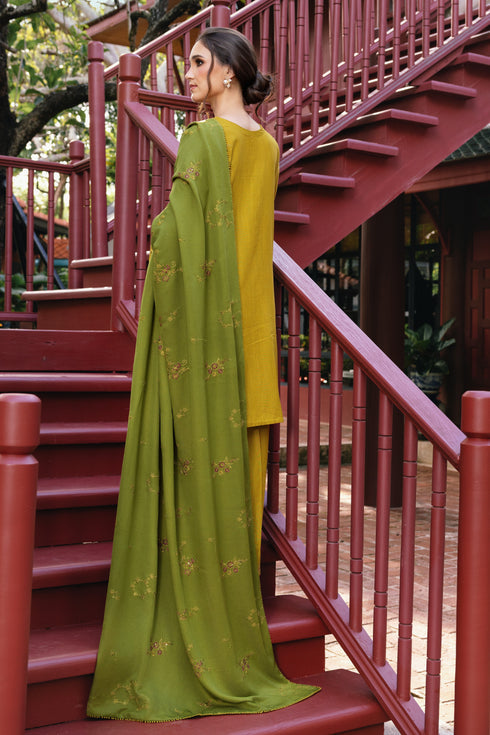 Naqshi | Nuri Khaddar Velvet Marina | Shanara