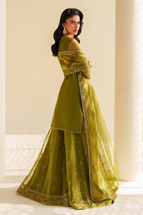 Naqshi | Feemora Organza Raw Silk | Feeha