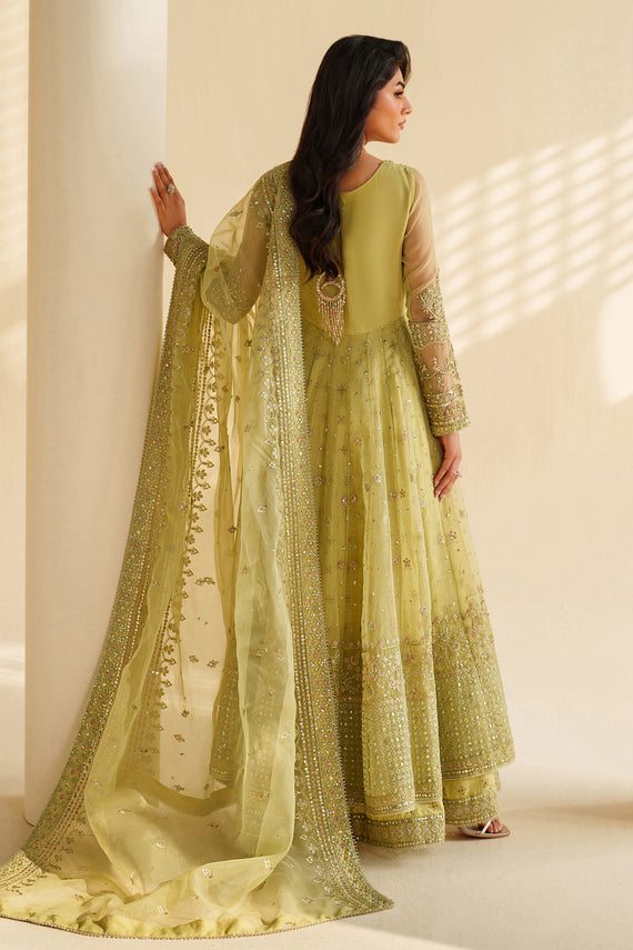 Naqshi | Feemora Organza Raw Silk | Zeesha