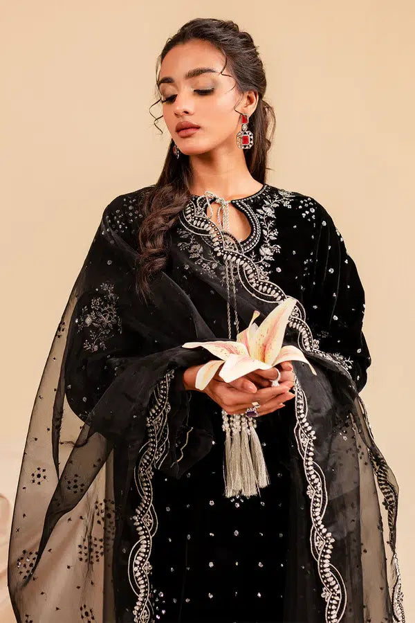 Nureh | Shades of Winter | Sheesh - Pakistani Clothes for women, in United Kingdom and United States