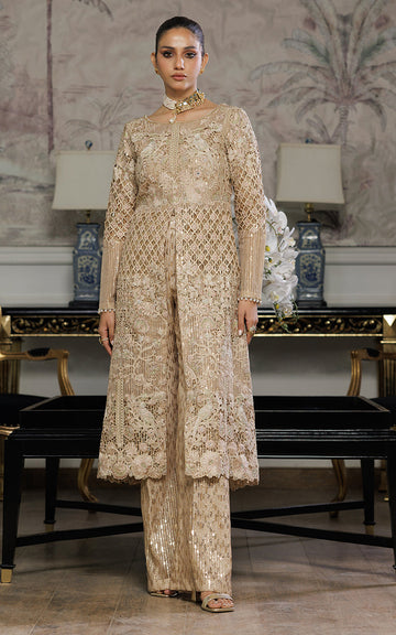 Threads and Motifs | Formal Dresses 25 | Organza Embroidered Dress With Trouser