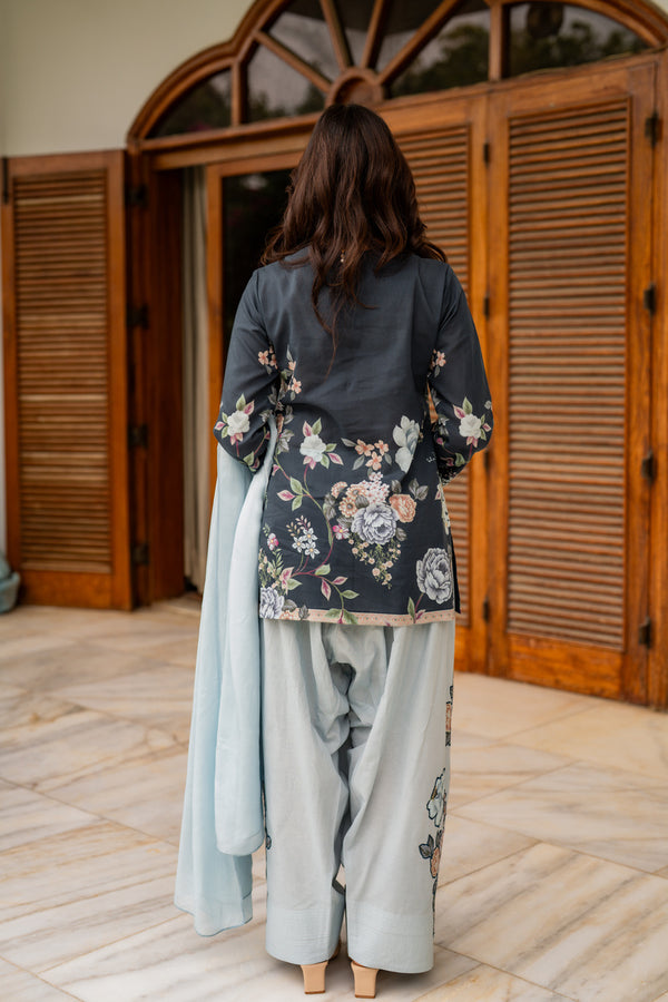 Shamaeel Ansari | Nazaakat Pret | Blue Mirage