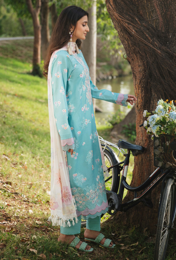 Hum Dum | Summer Breeze 25 | D06