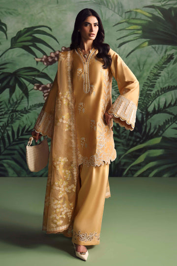 Sable Vogue | Ayame 25 | SWJC-06-25