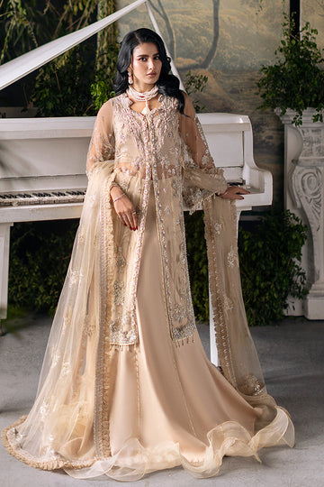 Saad Shaikh | Flurie Vol 3 | Clara