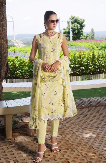 Al Zohaib | Sunshine Premium Edition 25 | SBE-25-08D