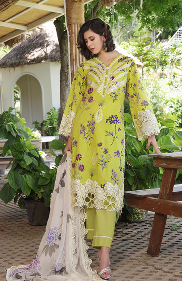 Al Zohaib | Sunshine Premium Edition 25 | SBE-25-09 D