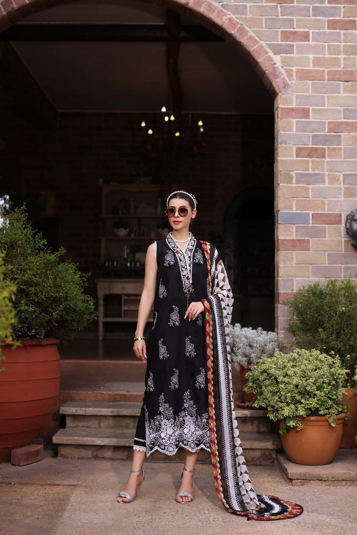 Noor by Saadia Asad | Eid Luxe Printkari 24 | D6 - Pakistani Clothes for women, in United Kingdom and United States