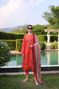 Noor by Saadia Asad | Eid Luxe Printkari 24 | D3 - Pakistani Clothes for women, in United Kingdom and United States