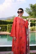 Noor by Saadia Asad | Eid Luxe Printkari 24 | D3 - Pakistani Clothes for women, in United Kingdom and United States