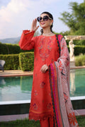 Noor by Saadia Asad | Eid Luxe Printkari 24 | D3 - Pakistani Clothes for women, in United Kingdom and United States