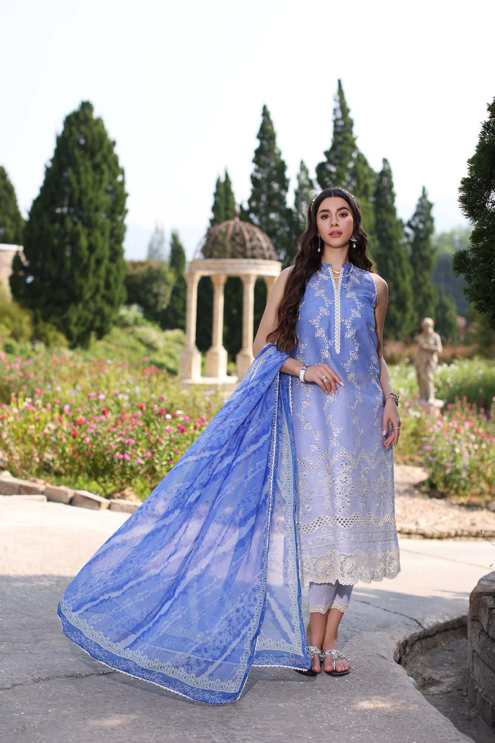 Noor by Saadia Asad | Eid Luxe Printkari 24 | D8 - Pakistani Clothes for women, in United Kingdom and United States