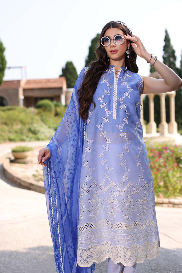 Noor by Saadia Asad | Eid Luxe Printkari 24 | D8 - Pakistani Clothes for women, in United Kingdom and United States