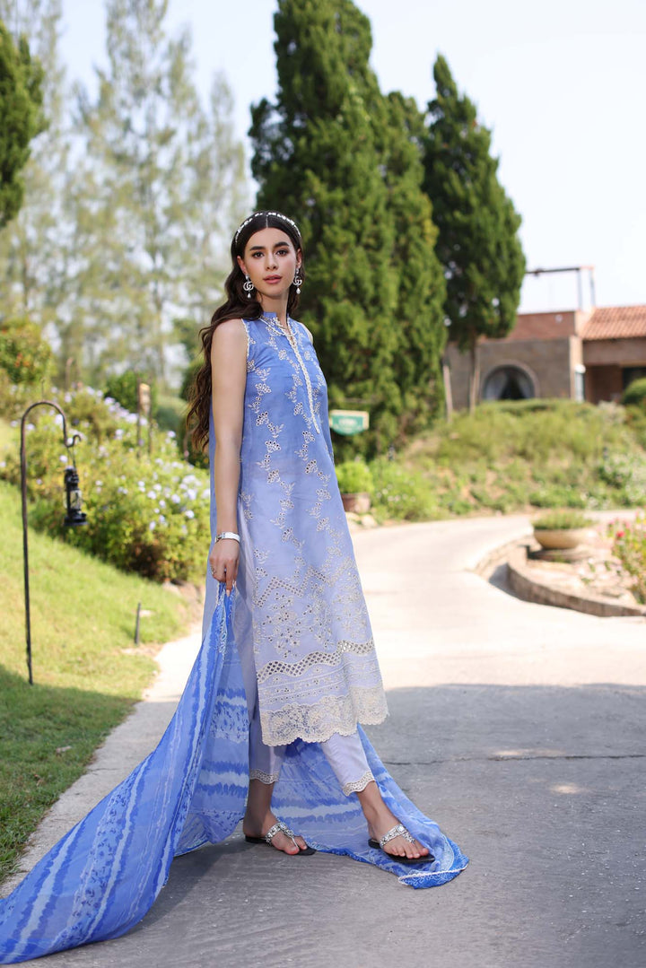 Noor by Saadia Asad | Eid Luxe Printkari 24 | D8 - Pakistani Clothes for women, in United Kingdom and United States