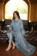 Noor by Saadia Asad | Eid Luxe Printkari 24 | D2 - Pakistani Clothes for women, in United Kingdom and United States