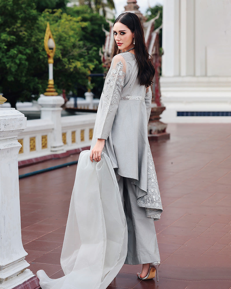 Ain | Prestige Festive Edit | AN-146 C
AN-146 C