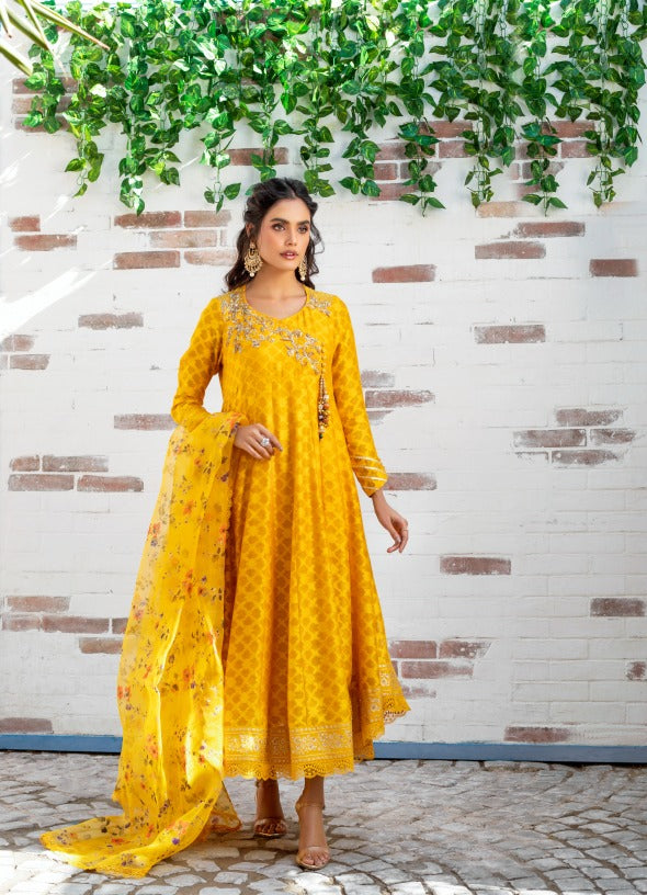 Anam Akhlaq | Festive Collection | D-12 - Hoorain Designer Wear - Pakistani Ladies Branded Stitched Clothes in United Kingdom, United states, CA and Australia