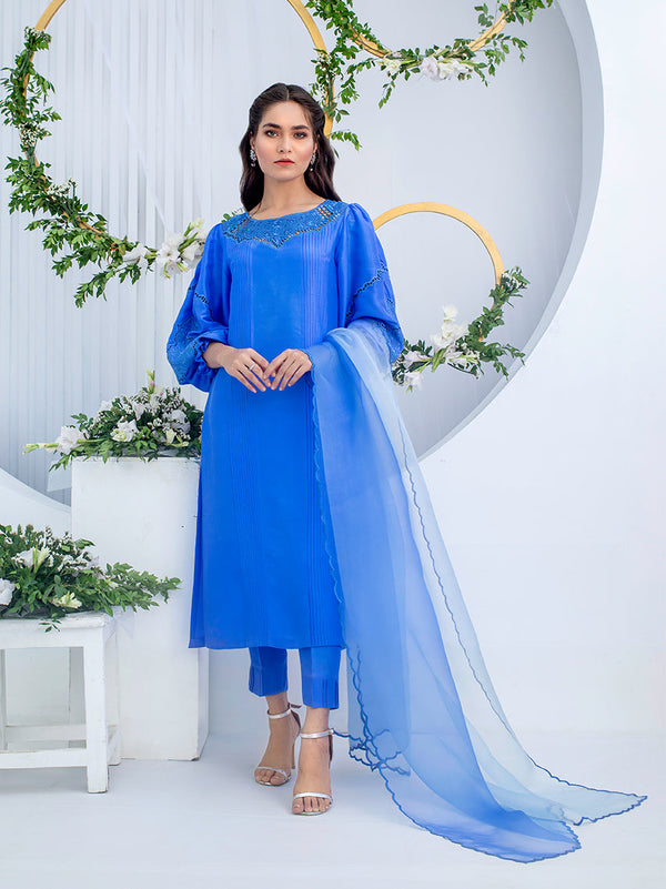 Anam Akhlaq | Festive Collection | D-02 - Hoorain Designer Wear - Pakistani Ladies Branded Stitched Clothes in United Kingdom, United states, CA and Australia