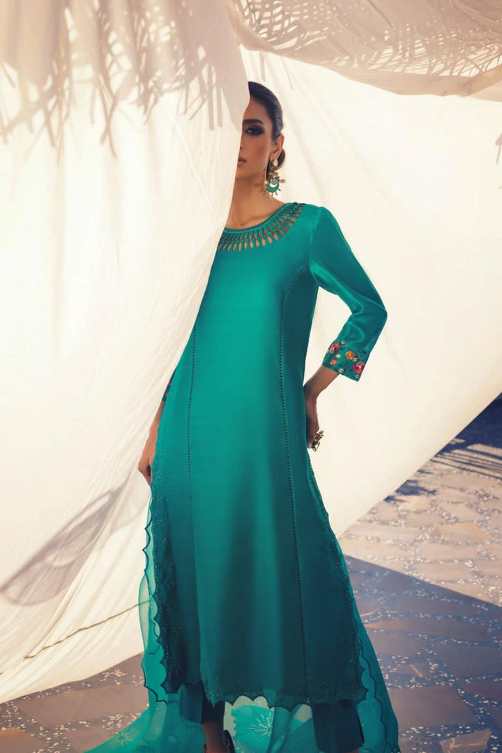 Anam Akhlaq | Festive Collection | D-48 - Hoorain Designer Wear - Pakistani Ladies Branded Stitched Clothes in United Kingdom, United states, CA and Australia