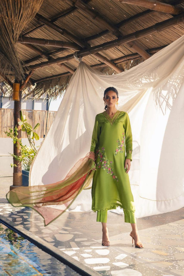 Anam Akhlaq | Festive Collection | D-51 - Hoorain Designer Wear - Pakistani Designer Clothes for women, in United Kingdom, United states, CA and Australia