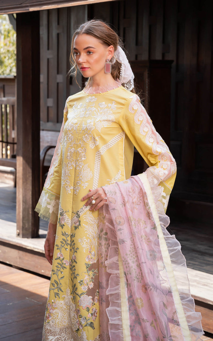 Asifa and Nabeel | Rosemary Ruffles 24 | Essence - Pakistani Clothes for women, in United Kingdom and United States