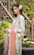 Asifa and Nabeel | Rosemary Ruffles 24 | Serene - Pakistani Clothes for women, in United Kingdom and United States