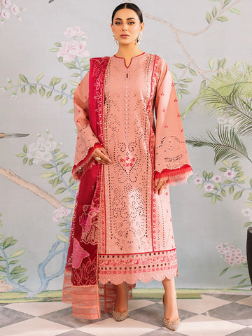 Bin Ilyas | La Hira Spring Summer 24 | 202-B - Pakistani Clothes for women, in United Kingdom and United States