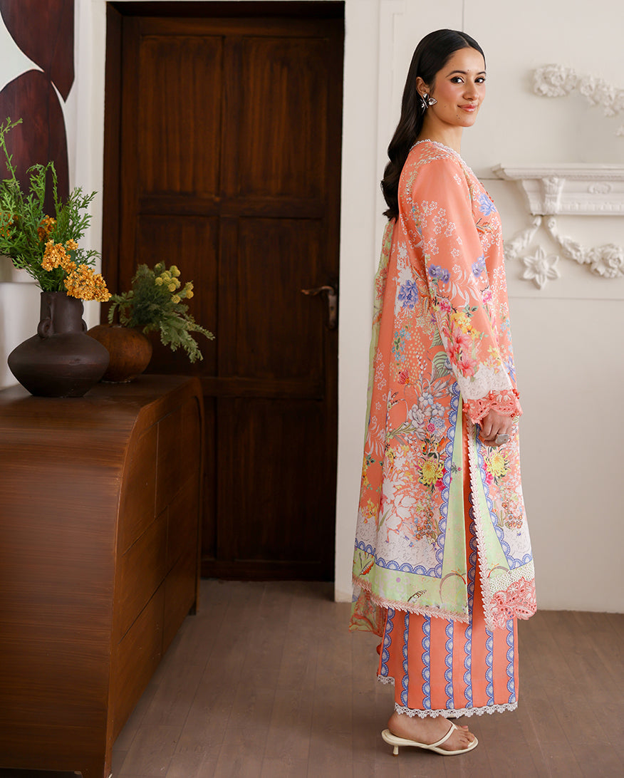 Roheenaz | Sunlit Tales Printed Embroidered Edit | Blush tale