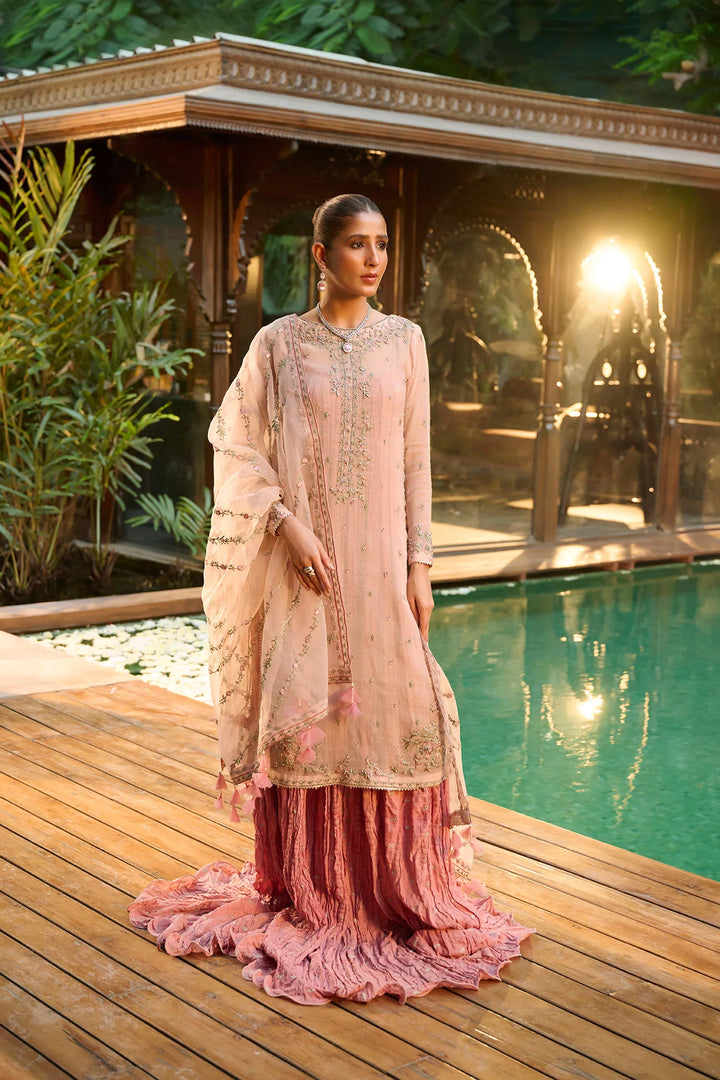 Dhanak | Bridal Couture | HF-3003 L-PINK - Pakistani Clothes for women, in United Kingdom and United States