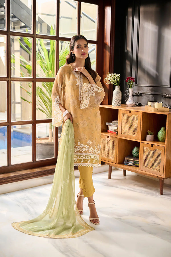 Dhanak | Festive Edit | 2386 - Hoorain Designer Wear - Pakistani Ladies Branded Stitched Clothes in United Kingdom, United states, CA and Australia