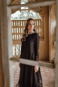 Azure | Embroidered Formals | Charcoal Muse - Pakistani Clothes for women, in United Kingdom and United States