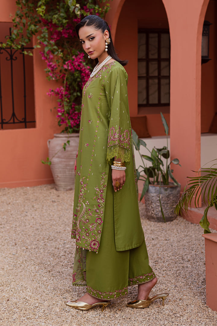 Batik | Winter 25 | Cray