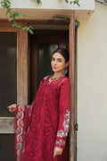 Manara | Luxury Lawn 24 | MAHAY - Pakistani Clothes for women, in United Kingdom and United States