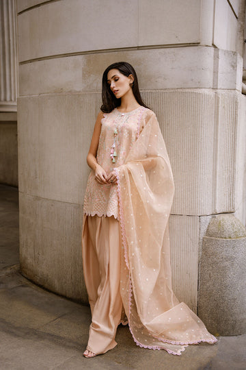 Sobia Nazir | Nimr 26 | Safa