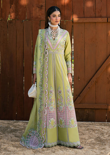 Zarizaa | Aura of Flora | MOSS