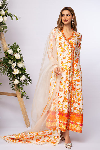 Amna Arshad | Zolu Collection 24 | Somaya