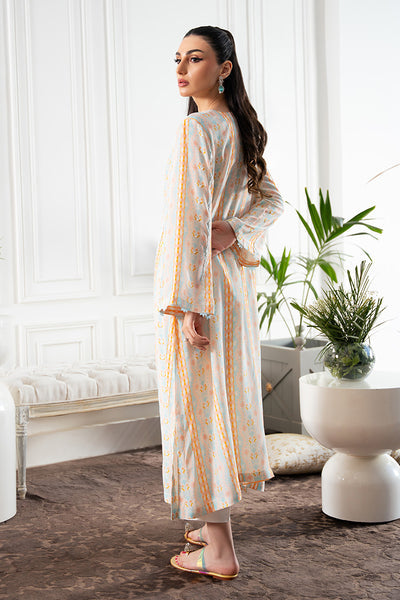 Amna Arshad | Zolu Collection 24 | Lamia