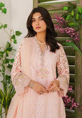 Zarqash | Belle Ame 24 | BL 008 Reine - Pakistani Clothes for women, in United Kingdom and United States