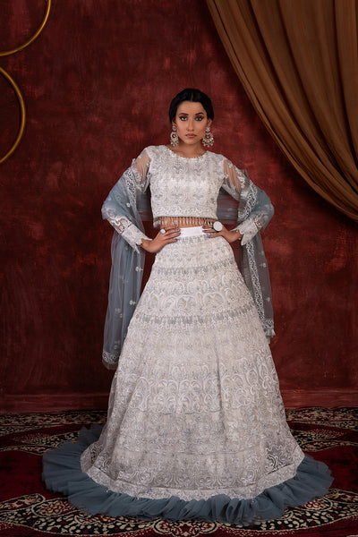 House of Nawab | Luxury Formals | GULCIN - Hoorain Designer Wear - Pakistani Ladies Branded Stitched Clothes in United Kingdom, United states, CA and Australia