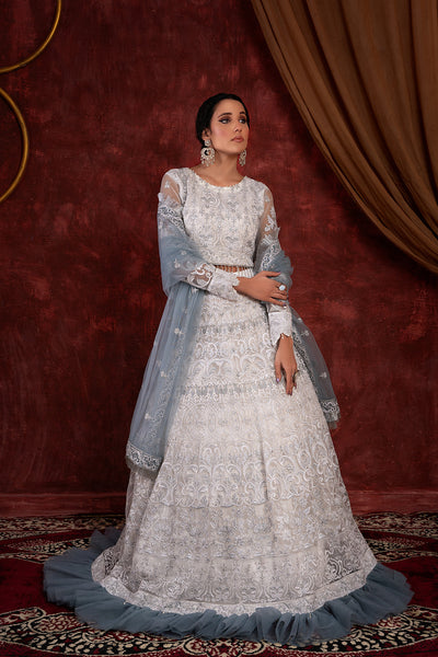 House of Nawab | Luxury Formals | GULCIN - Pakistani Clothes for women, in United Kingdom and United States