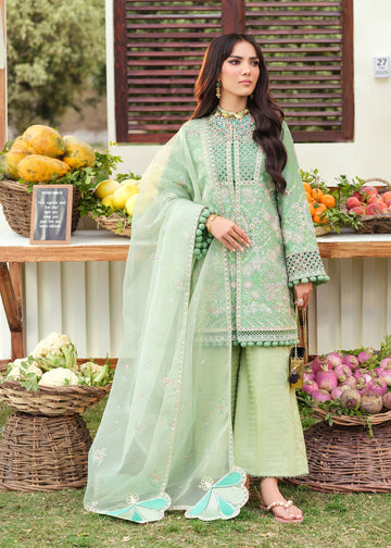Zarizaa | Echelon Lawn | PATINA