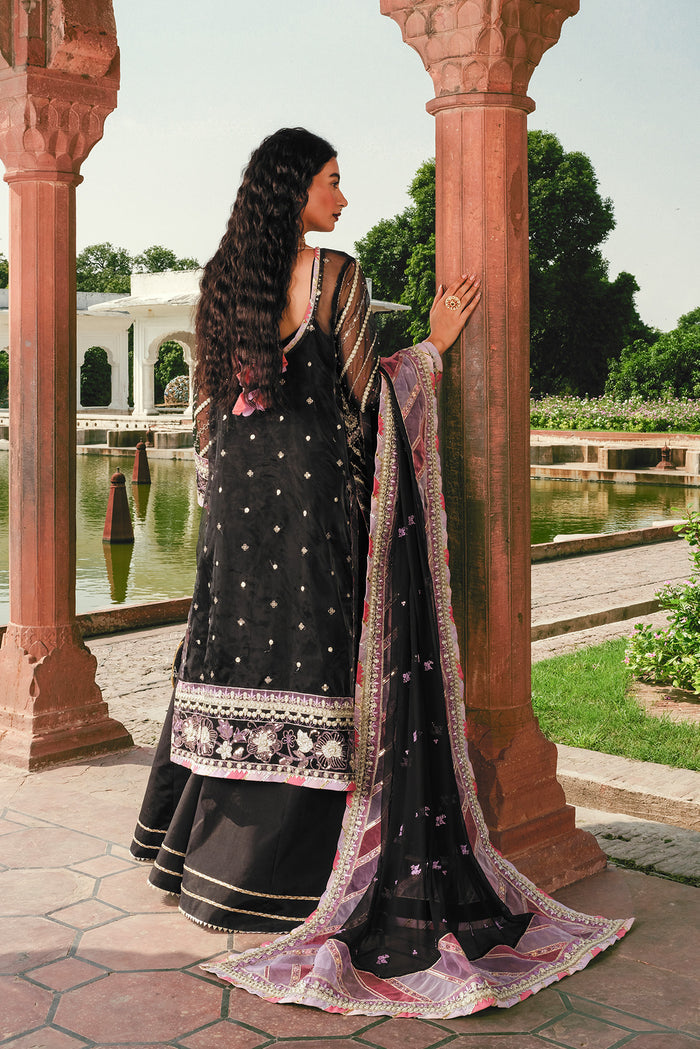 Raeesa Premium | Zauj Formals | AAK - 02