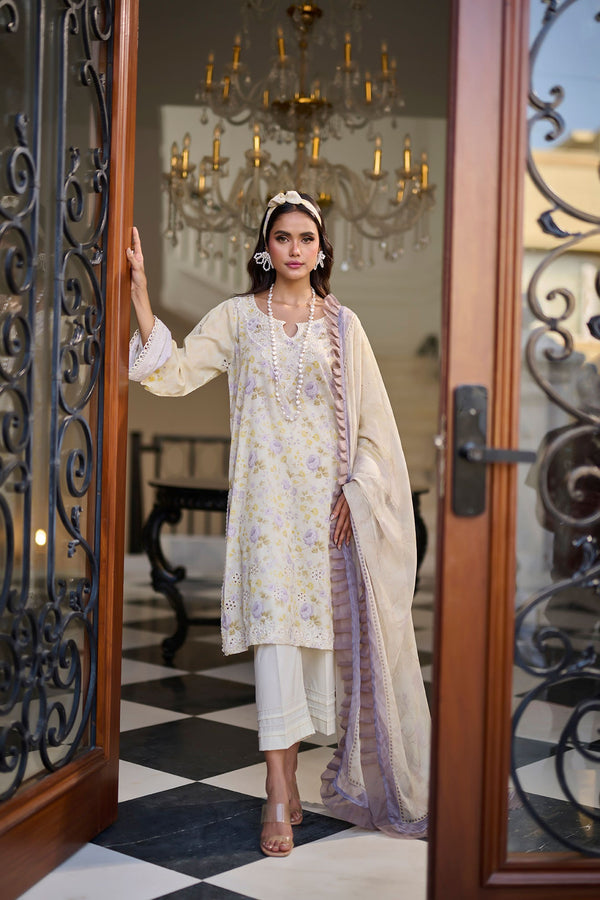 Dhanak | Lawn Collection SS-24 | 3189-Mint Green - Hoorain Designer Wear - Pakistani Ladies Branded Stitched Clothes in United Kingdom, United states, CA and Australia