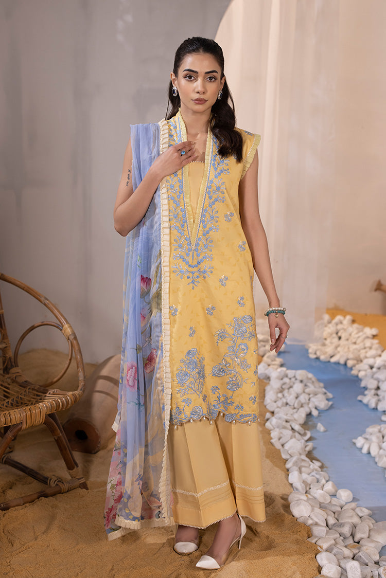 Ellena | Luxury Embroidered Collection|  P-02 - Pakistani Clothes for women, in United Kingdom and United States