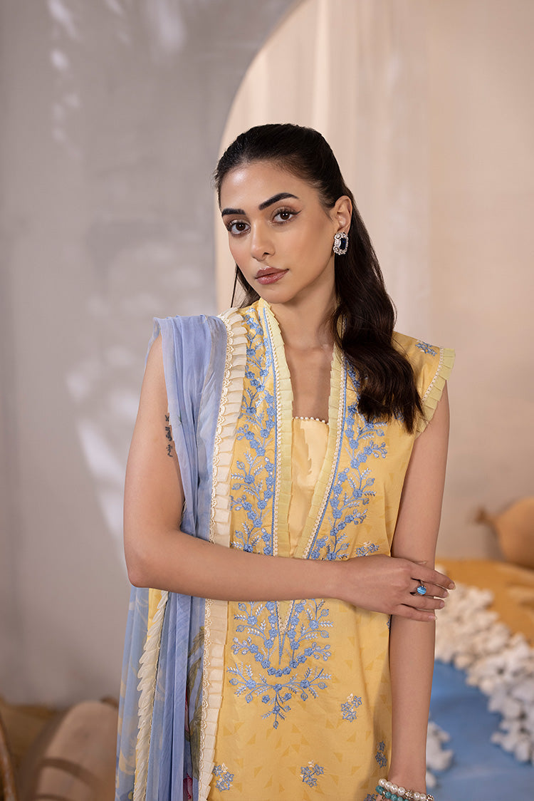 Ellena | Luxury Embroidered Collection|  P-02 - Pakistani Clothes for women, in United Kingdom and United States