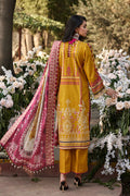 Ellena | Luxury Embroidered Collection | D15 - Pakistani Clothes for women, in United Kingdom and United States