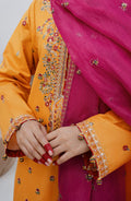 Emaan Adeel | Gul Mohr Eid Pret | WASHMA - Pakistani Clothes for women, in United Kingdom and United States